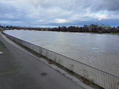 Dresden Elbe flood with water level at 5.91 meters and view of Marienbrücke