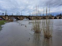 Dresden Elbe flood with water level at 5.91 meters and view of Marienbrücke