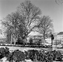 Kongens Have in Copenhagen