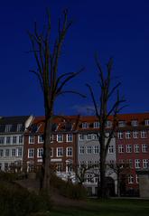 Kongens Have park in Copenhagen