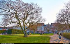 Copenhagen amusement park in the afternoon with a large tree