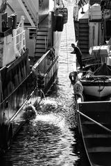 boat moored at a port