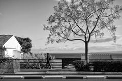 black and white photo of a seafront promenade