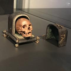 Vanitas Skull with case by Albert Jansz. Vinckenbrinck