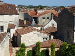 rooftops of Saintes in Charente-Maritime, France