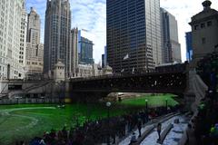 Chicago River dyed green for Saint Patrick's Day with cityscape in the background