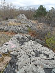 Pinnacle Rock in Middlesex Fells Reservation