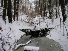 Middlesex Fells in December