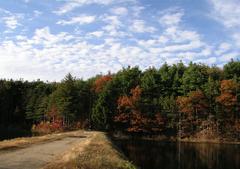 Middlesex Fells between South and Middle Reservoirs