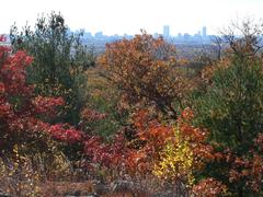 Middlesex Fells Reservation with Boston skyline in the background