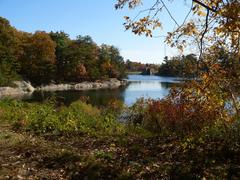 Spot Pond in Middlesex Fells Reservation