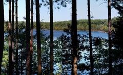 View of Middlesex Fells Reservation reservoir in October 2005