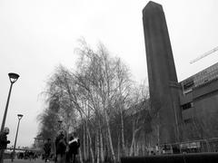 Birches outside the Tate Modern