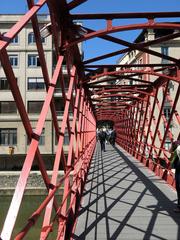 Pont Palanques Vermelles in Girona