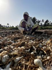 woman cleaning white onions