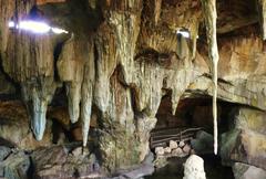 Cave at Bioparc Valencia