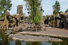 Bioparc Valencia entrance area