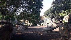 lush African savanna habitat at Bioparc Valencia