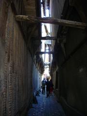 Cats street in Troyes, Aube, France