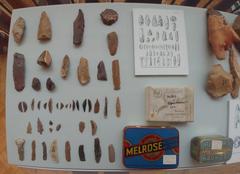 Display of material excavated by Dorothy Garrod at Museum of Archaeology & Anthropology in Cambridge