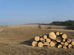 Harbechy landscape in early spring