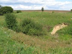 Jandourkovy závrty sinkholes