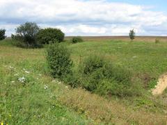 Scenic view of Jandourkovy závrty, a natural landscape with woodlands and rolling hills