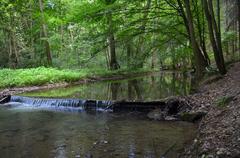 Křtinský potok in Křtinské valley near Adamov