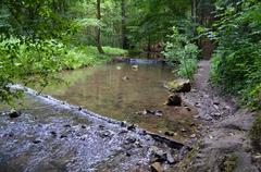 Křtinský stream in Křtinské valley near Adamov