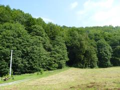 Moravian Karst in South Moravian Region, Czech Republic