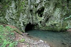 Karst spring of river Punkva in Moravian Karst near Blansko, Czech Republic