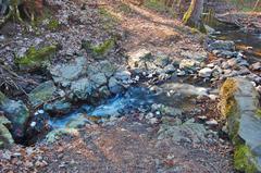 Hádecká estavela in Údolí Říčky nature reserve, Brno-venkov district