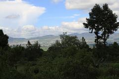 Panoramic view of Tulancingo with buildings and greenery