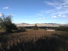 Tulancingo Hidalgo view from the south