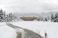 National History Museum in winter with snow-covered trees