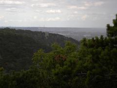 View from the Mödling castle ruins to the Black Tower