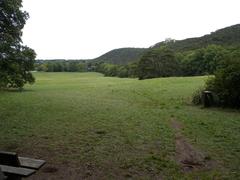 Meiereiwiese meadow with ruined castle in the background