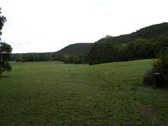 Meiereiwiese meadow with distant view of Burgruine Mödling ruins