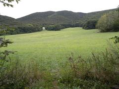 Mödling Castle ruins surrounded by lush greenery, viewed from Meiereiwiese