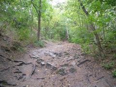 steep rocky forest path to Mödling Castle ruins