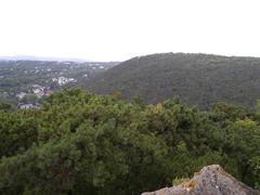 View from Burgruine Mödling