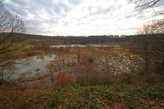 Naturschutzgebiet at Hornpottweg bordering Köln and Leverkusen, view of the quarry