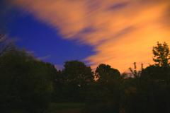 Orange clouds over forest at dusk near Leverkusen-Schlebusch