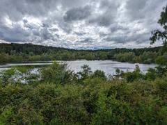 Naturschutzgebiet Am Hornpottweg nature reserve with lake and trees