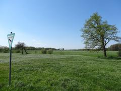 protected area with lush green landscape and a dirt path