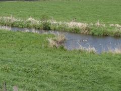 Scenic view of Naturschutzgebiet Die Reit nature reserve with lush greenery and a serene atmosphere