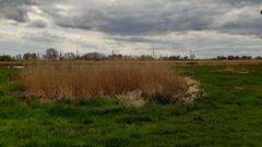 Bomb crater from World War II in Die Reit Nature Reserve near NABU research station