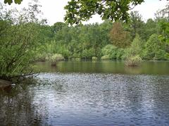 Eppendorfer Moor in Groß-Borstel, Hamburg