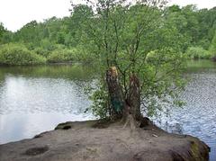 Eppendorfer Moor in Hamburg with large water body