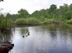 Eppendorfer Moor in Groß-Borstel, Hamburg with a large water area